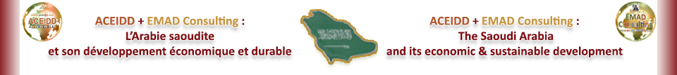 EMAD Consulting et l'Arabie Saoudite