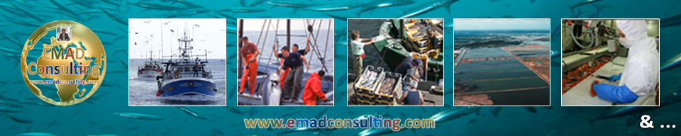 Pêche et Aquaculture - Services et Ingénierie
