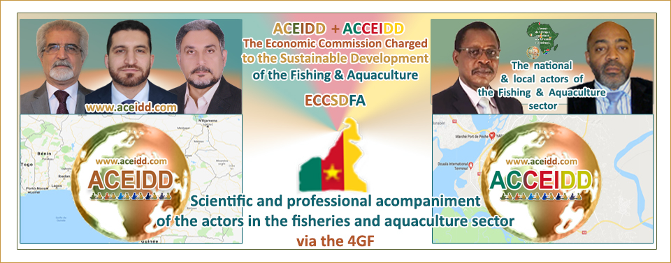 EMAD Consulting, ACEIDD et le Développement Durable de la pêche et de l'Aquaculture en R. du Cameroun