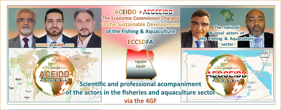 EMAD Consulting, ACEIDD & Sustainable Development of Fishing and Aquaculture in Arab Republic of Egypt