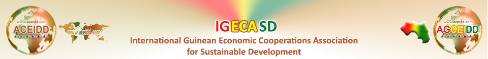 Internartional Partners - IGECASD in Guinea 