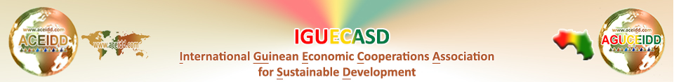 Internartional Partners - IGUECASD in Guinea 