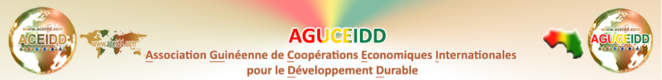 Partenaires internationaux - AGUCEIDD - La Guinée Conakry
