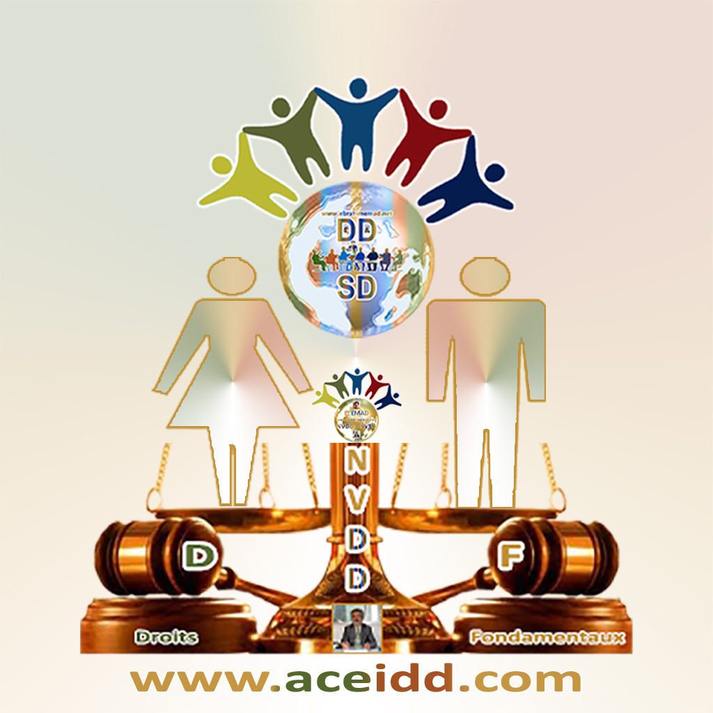 E. EMAD, ACEIDD, Pratiques Scientifiques et Professionbelles de l'International