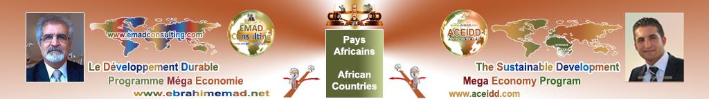 EMAD Consulting et ACEIDD, Pratiques de l'International en Afrique
