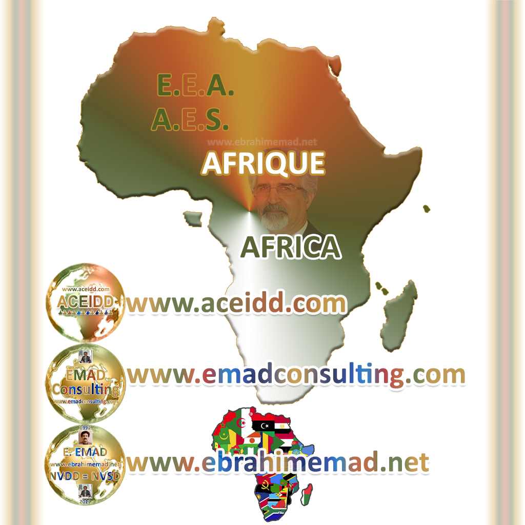 L'avenir de l'Afrique