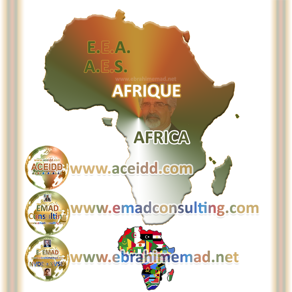 L'avenir de l'Afrique