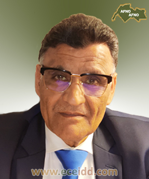 El Seyed ABOUZEID