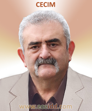 Pr. Farzin GHAEMI