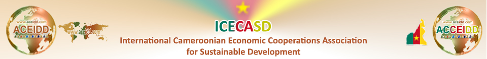 Internartional Partners - ICECASD in Cameroon 