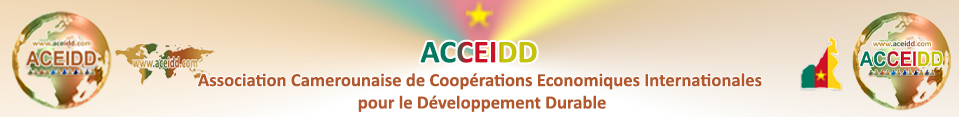 Partenaires internationaux - ACCEIDD - Le Cameroun