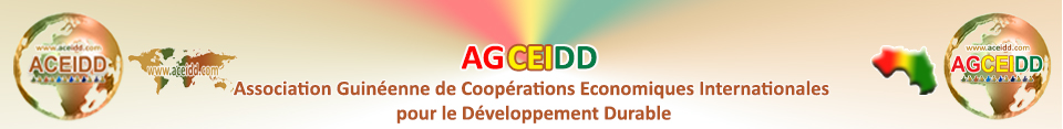 Partenaires internationaux - AGCEIDD - La Guinée Conakry