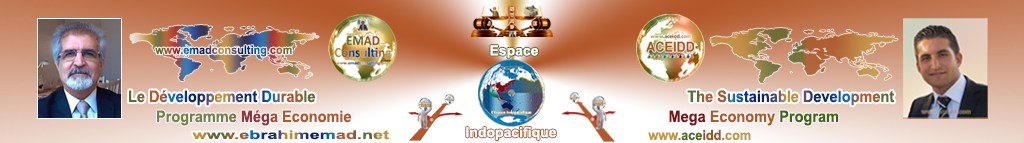 EMAD Consulting et ACEIDD, Pratique de l'International en Espace Indopacifique
